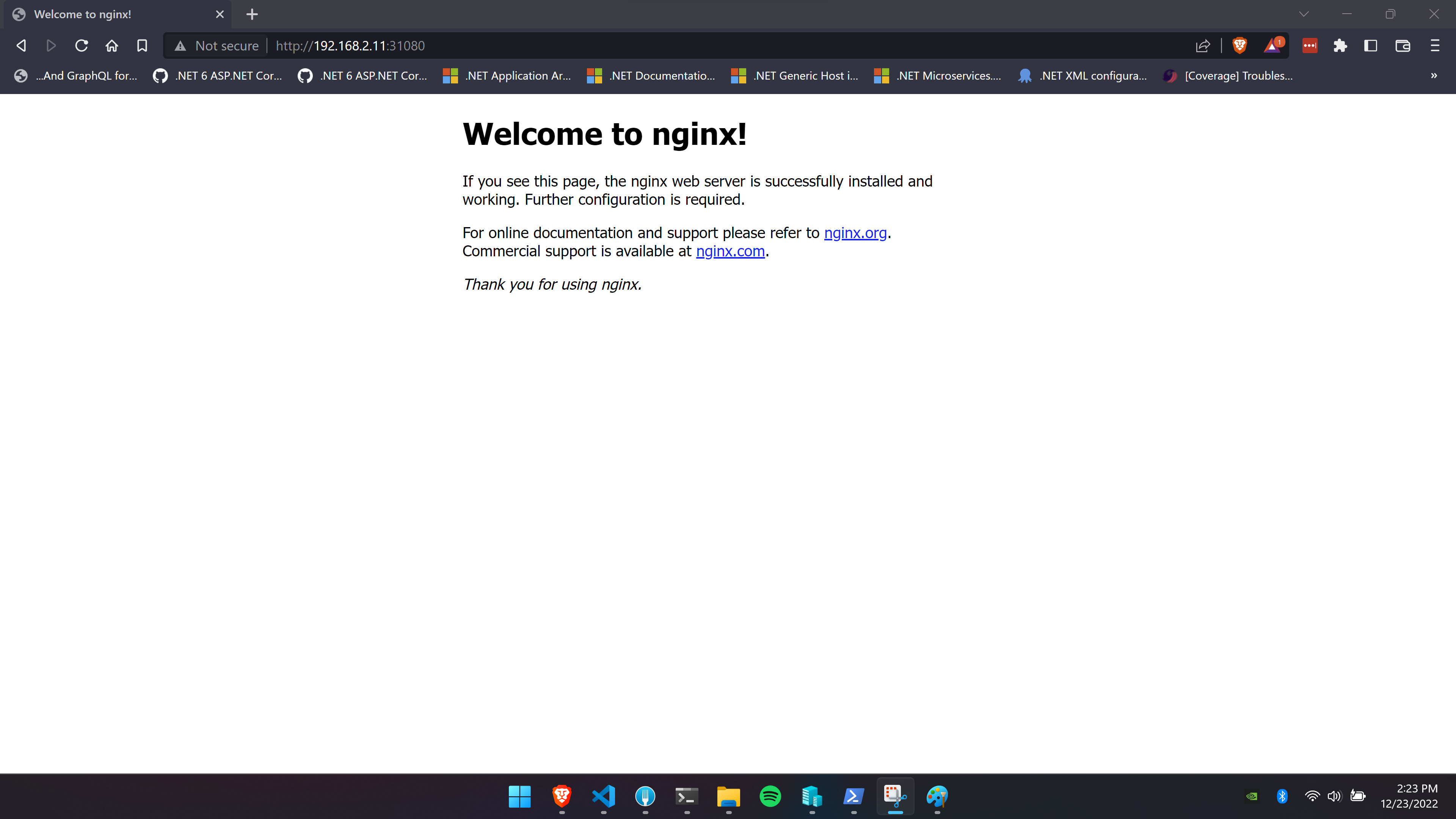 Nginx Service Windows Access